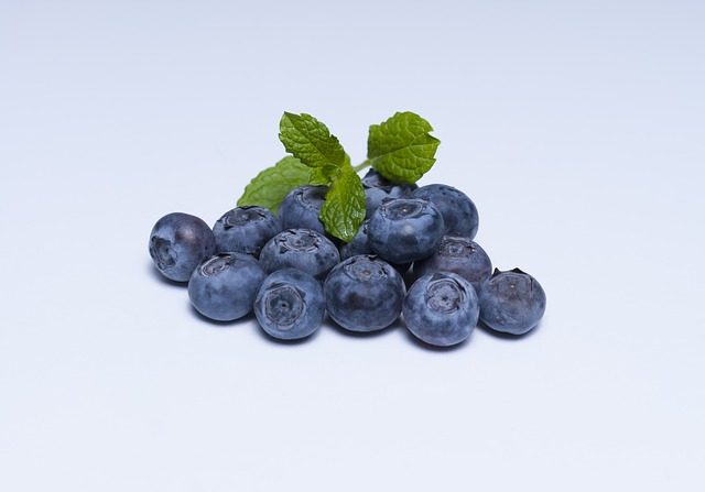 blueberry superfoods